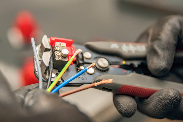 Best Electric Panel Repair  in Brunswick, GA